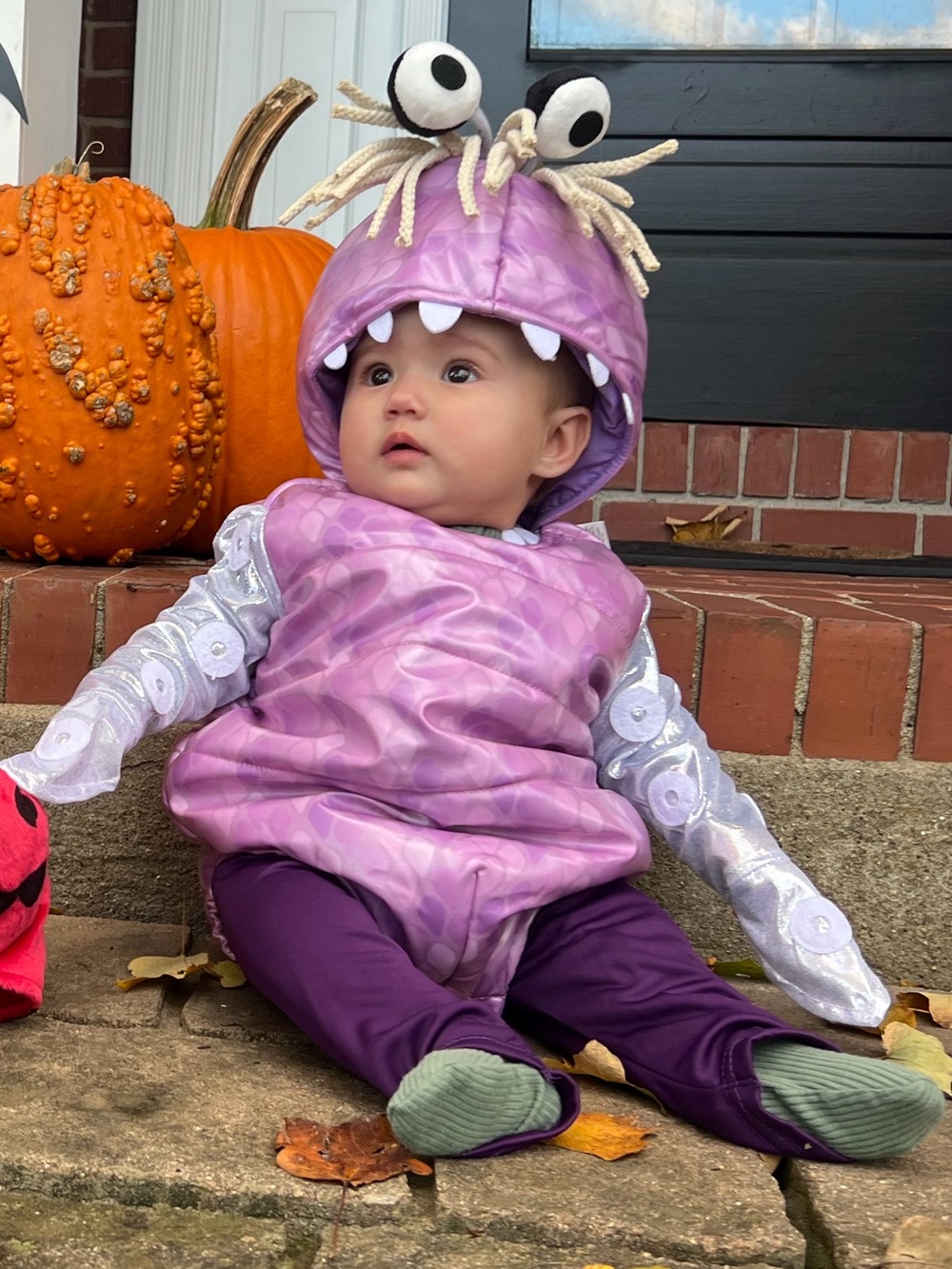 Adorable Purple Monster Baby Costume - Picture 7 of 15